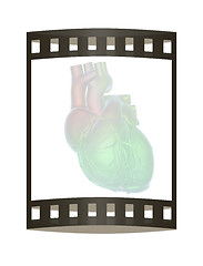 Image showing Human heart and veins. 3D illustration.. The film strip