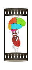 Image showing DNA, brain and heart. 3d illustration. The film strip