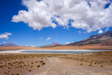 Image showing Altiplano laguna in sud Lipez reserva, Bolivia