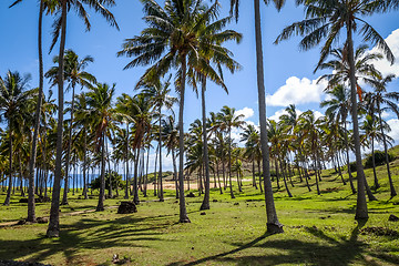 Image showing Anakena palm beach and Moais statues site ahu Nao Nao, easter is