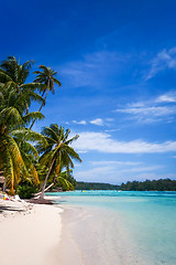 Image showing Paradise tropical beach and lagoon in Moorea Island