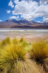Image showing Laguna Honda in sud Lipez Altiplano reserva, Bolivia