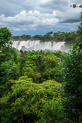 Image showing iguazu falls