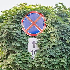 Image showing Red stop sign with trees