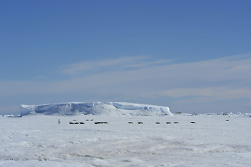 Image showing Beautiful view of icebergs Snow Hill Antarctica