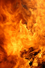 Image showing Fire rage