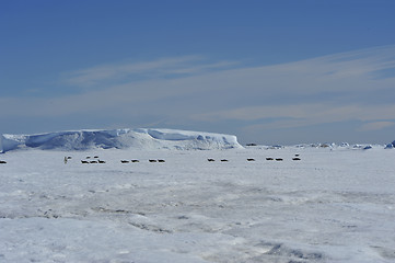 Image showing Beautiful view of icebergs Snow Hill Antarctica