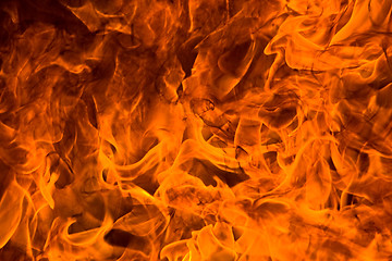 Image showing Fire rage