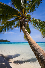 Image showing Paradise tropical beach and lagoon in Moorea Island