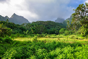 Image showing Moorea island jungle and mountains landscape