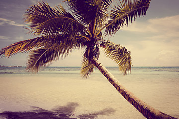 Image showing Paradise tropical beach and lagoon in Moorea Island