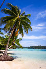 Image showing Paradise tropical beach and lagoon in Moorea Island