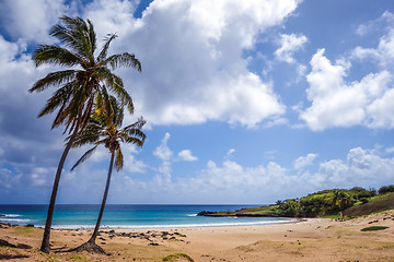 Image showing Palm trees on Anakena beach, easter island