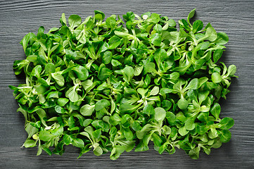 Image showing Corn salad valeriana at dark stone