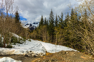 Image showing tracks in the snow