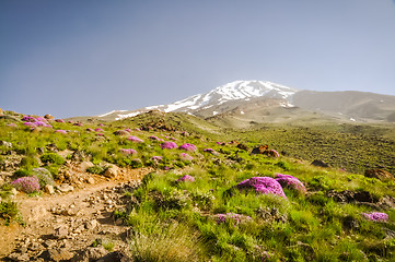 Image showing Stratovolcano Mount Damavand