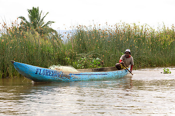 Image showing Life in madagascar countryside on river