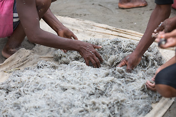 Image showing Native Malagasy fishermen fishing on sea, Madagascar