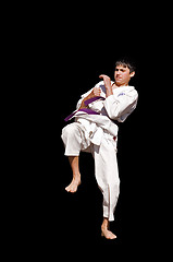 Image showing karate training