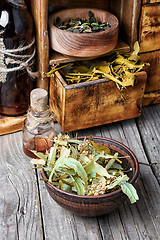 Image showing Harvest of medicinal herb