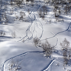 Image showing Off-piste slope with track from ski and snowboard at sunny day