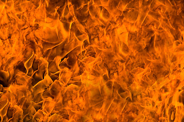 Image showing Fire rage