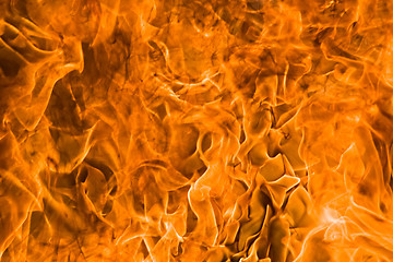 Image showing Fire rage