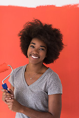 Image showing black woman painting wall