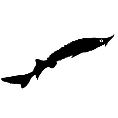 Image showing Black silhouette of aquarium fish on white background