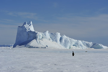 Image showing Beautiful view of icebergs Snow Hill Antarctica