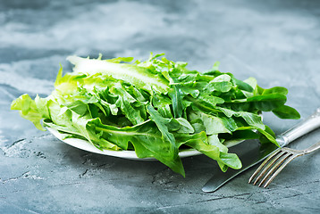 Image showing rucola