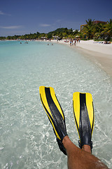 Image showing Man in Flippers