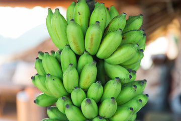 Image showing bunch of green bananas at street market