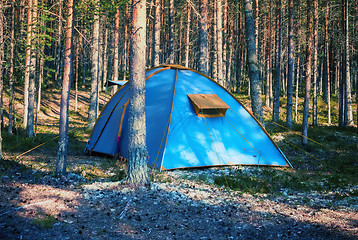 Image showing Blue Tent In A Summer Forest