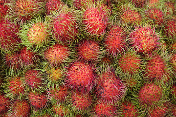 Image showing Tropical fruits Rambutan