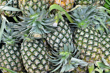 Image showing Pineapples at the village market 