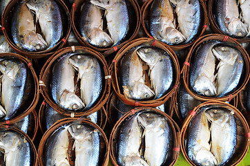 Image showing Mae Klong Mackerel fish