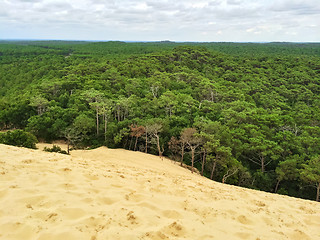 Image showing View from the top of Dune du Pilat, France