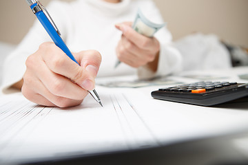 Image showing Entrepreneur calculating and reviewing investment plan