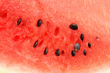 Image showing Watermelon