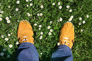 Image showing sports shoes on green grass