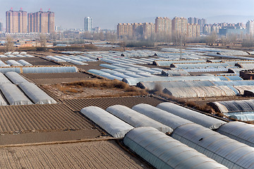 Image showing Greenhouses on agricultural field outside the city