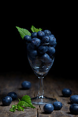 Image showing Blueberries in small glass
