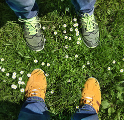 Image showing sports shoes on green grass