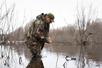 Image showing hunter puts stuffed ducks