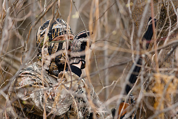 Image showing hidden hunter in shrubs