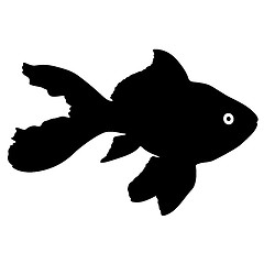 Image showing Black silhouette of aquarium fish on white background