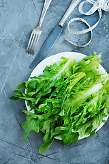 Image showing rucola