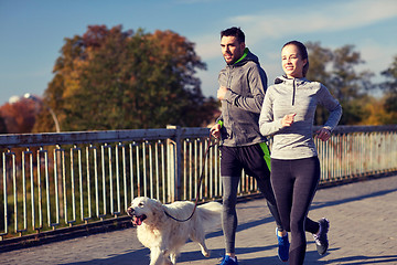 Image showing happy couple with dog running outdoors