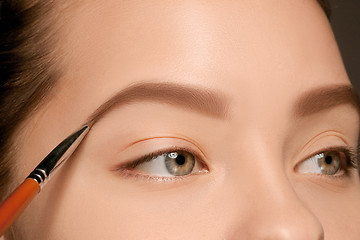 Image showing Beautiful female eyes with make-up and brush